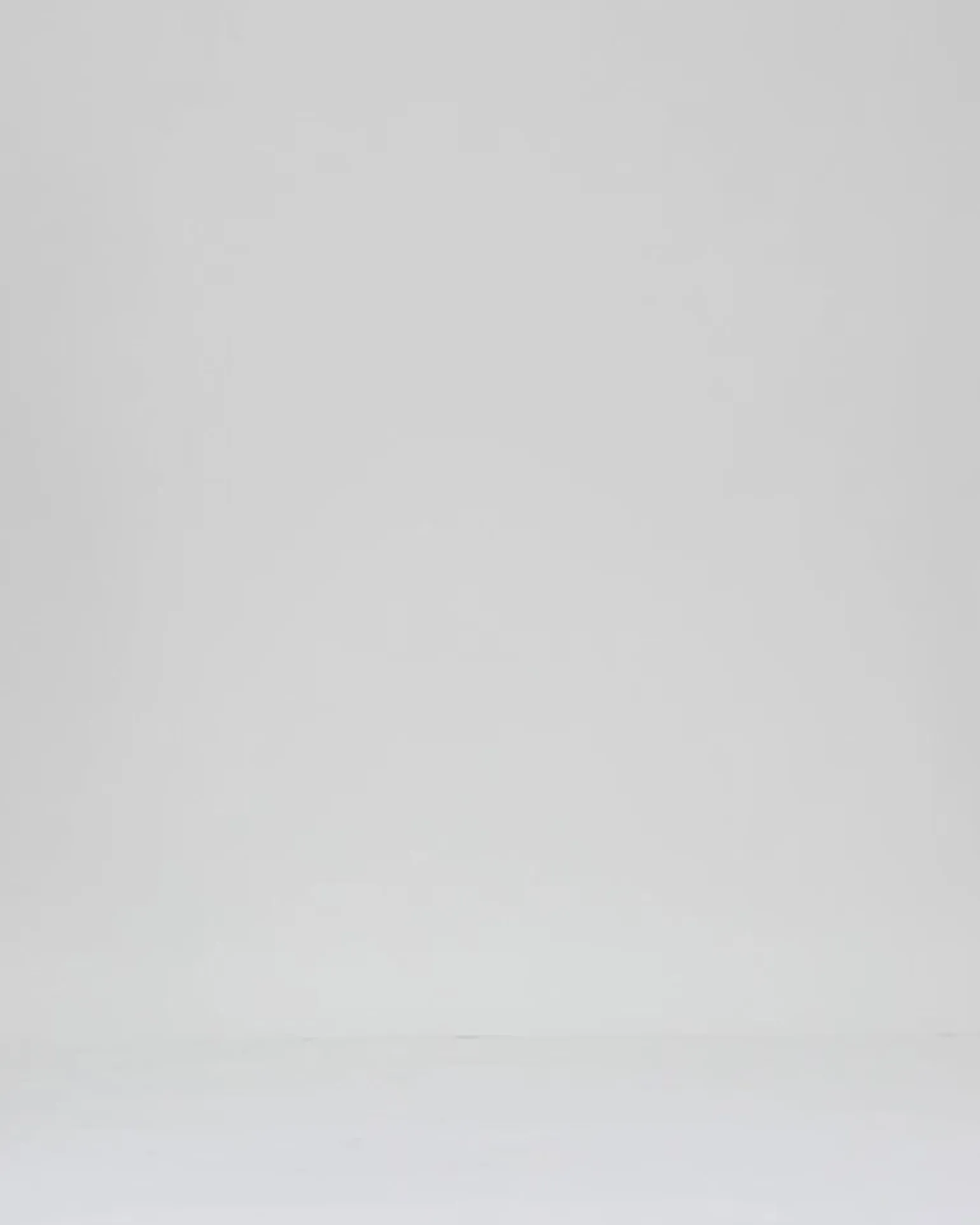 Belle & Bloom Pants>Southern Nights Cargo Jean